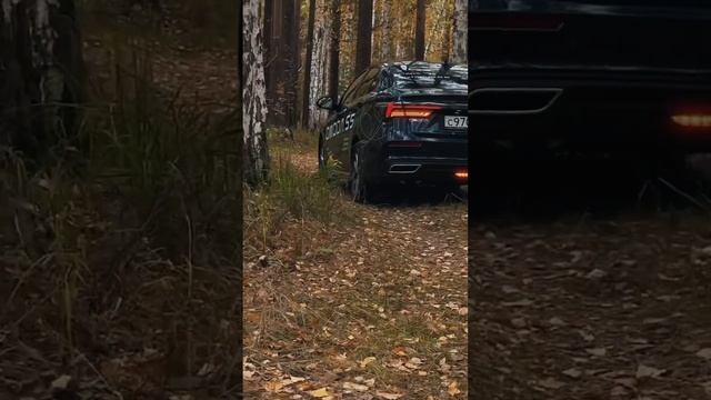 OMODA S5 будут прекрасны и комфортны в городских дорогах и в поездках на природу 🍂 #omodas5 смотреть онлайн