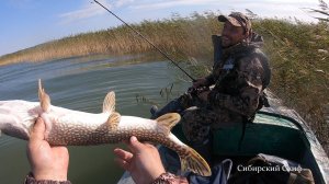 РЫБАЛКА В КАМЫШАХ! ЯЗЬ! ЩУКА! РЫБАЛКА С ЛОДКИ ОБЬ1