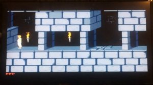 Vintage PC Software One Disk at a Time - Prince of Persia (1990)