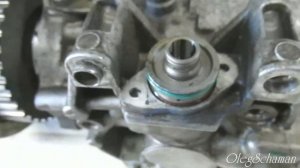 Как проверить поршень опережения зажигания в VP-44