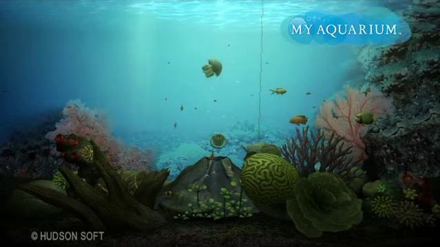 My Aquarium смотреть онлайн