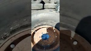Авиашина для телеги 2 птс-4 840×290-406 без каких-либо переделок подойдёт на разборный диск