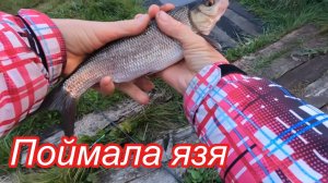 Приготовила свою прикормку. Наловила много рыбы, в том числе язя