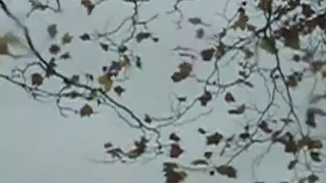 Rain on my window pane!!!! смотреть онлайн