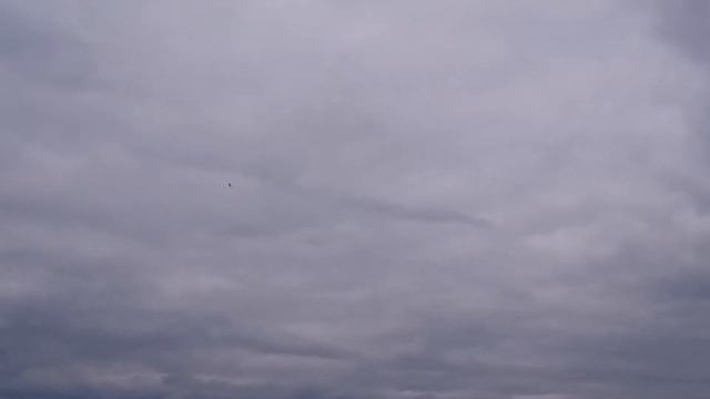 Avenger - Moravia Griffon 2016 - JAS-39C Gripen vs A-109 Opatov ( Jihlava) смотреть онлайн