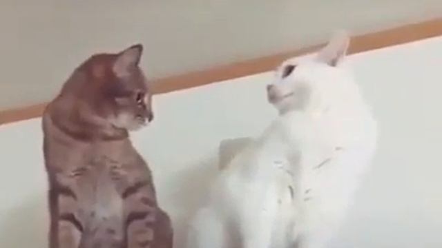 Love at first sight смотреть онлайн