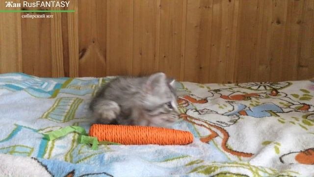 Жан RusFantasy