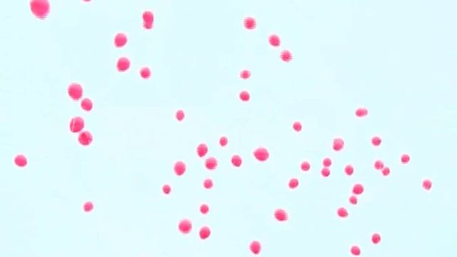 Новости Армавир, 160217, Флешмоб Сердечко смотреть онлайн