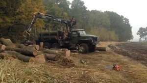 Погрузка леса манипулятором ОМТЛ 70-02