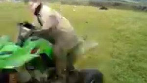 Kazuma falcon 110cc