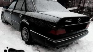 Гио Пика - Стая