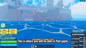 Banana, Pineapple, Apple Locations for Instinct v2 in Blox Fruits