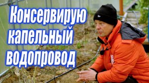 Консервация огородного водопровода с капельной системой полива