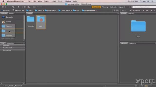Favoritos (adobe bridge ) video #13 смотреть онлайн
