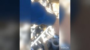 Поменяем салников клапана не снимая головку ГБЦ #газель  #карбюратор  #змз405 #змз406