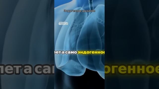 Узнайте, как правильное дыхание может повлиять на ваше здоровье и жизнь!  #дыхание #здоровье
