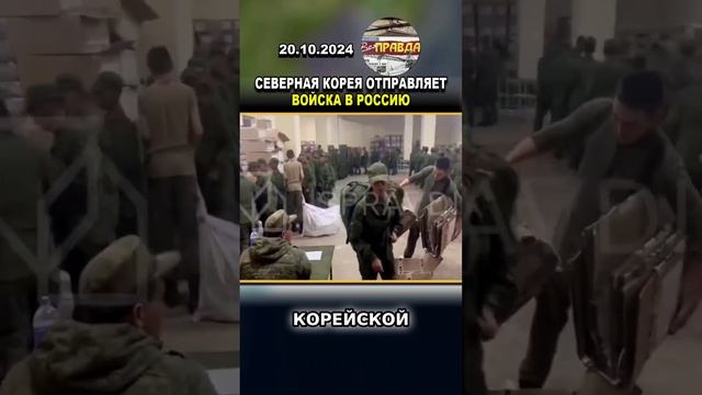 ШОКИРУЮЩИЕ КАДРЫ СЕВЕРНАЯ КОРЕЯ В РОССИИ #shorts