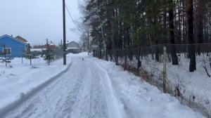 Влог 19! Новый год !