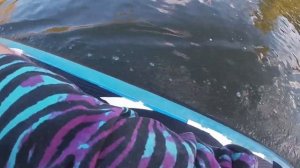 e Sup board с прицепом