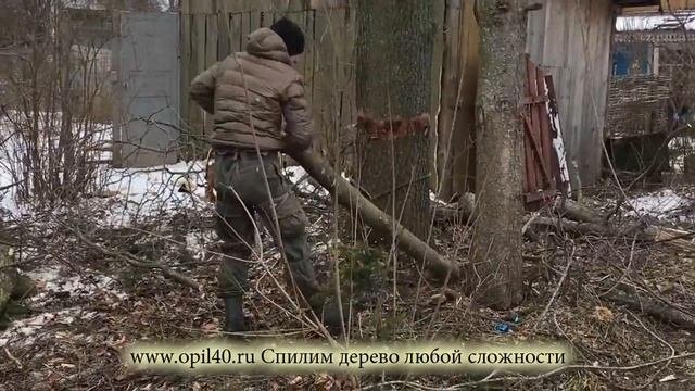 Услуги по спилу деревьев