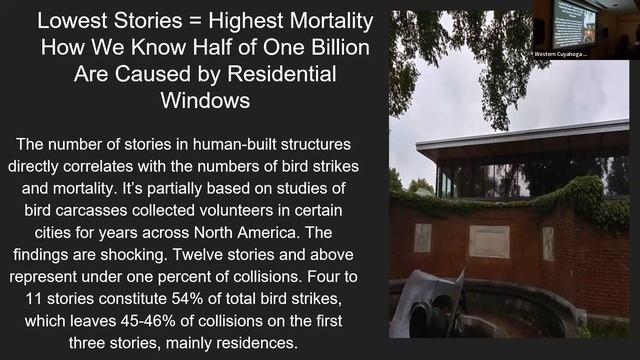 WCAS Speaker Series Sept 2023: Challenges and Solutions for Preventing Bird-Window Collisions смотреть онлайн