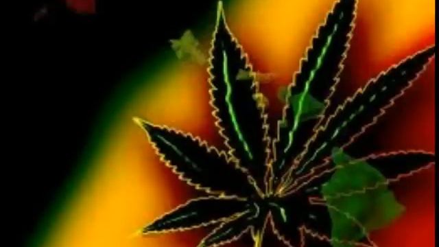 TEAM F.A.M.E. - TRU HAITIAN смотреть онлайн