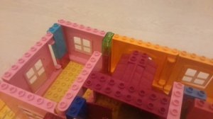 Хомяк в лабиринте!