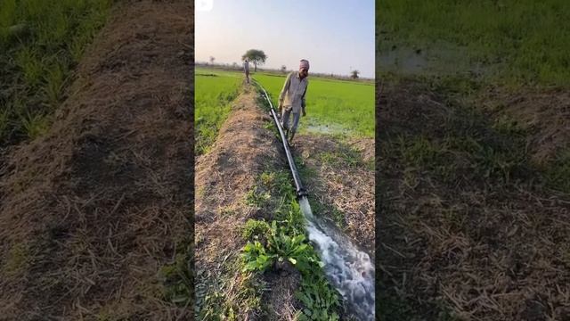 HDPE/Sprinkler/Black pipe #HDPE pipe line смотреть онлайн