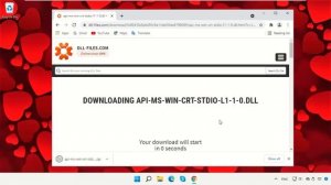 The file api-ms-win-crt-stdio-l1-1-0.dll is missing from your Windows 11 computer.
