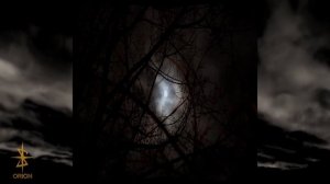 Calling Angel - Jack DT / 2023