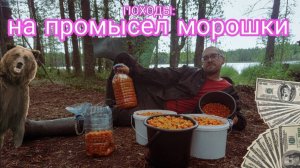 На промысел морошки в дикую тайгу Архангельской области. Медведь подошёл к избе
