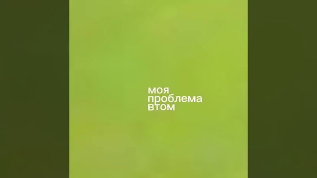 оцените видео