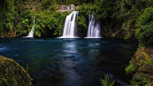 ЗВУКИ ПРИРОДЫ ДЛЯ СНА Журчание воды пение птиц | MUSIC SOUND FOR SLEEP | Спи спокойно | Медитация