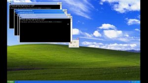 Baldi is a virus, Windows XP