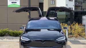 Tesla Model X Dance