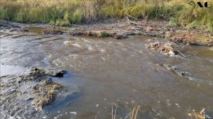 Один на реке. Осенний монолог