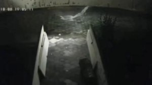 Плазменный Шар Попал На Камеру