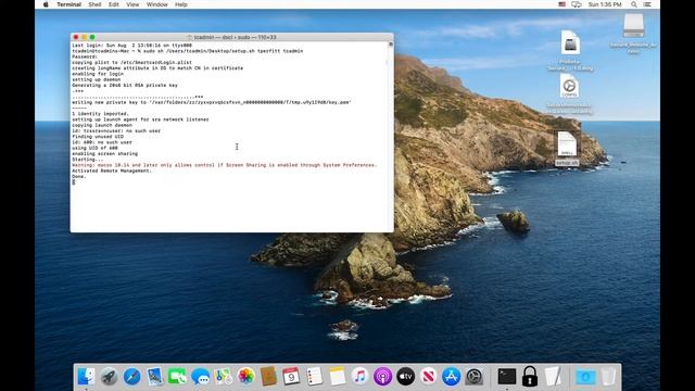Secure Remote Access: Mapped Attributes and Full Setup смотреть онлайн