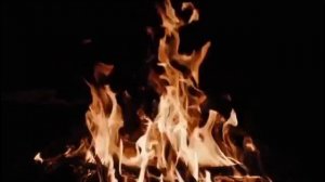 Пока мы лиц не обрели! Роман. Часть 4. Чтение у камина