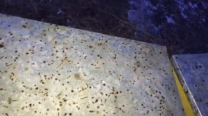 Поможем пчёлам весной. Обогреватели для ульев.