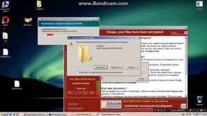 запуска 2 вируса на windows vista