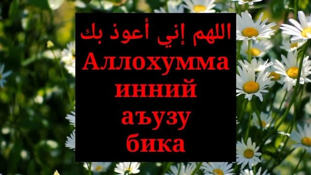 Хожатхонага кираётганда ва чикаётганда укиладиган дуо смотреть онлайн