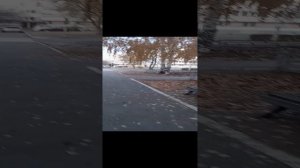 1000051126.mp4