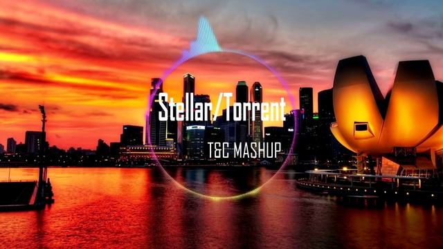 Stellar/Torrent - Daddy's Groove vs Martin Garrix (T&C Mashup) смотреть онлайн