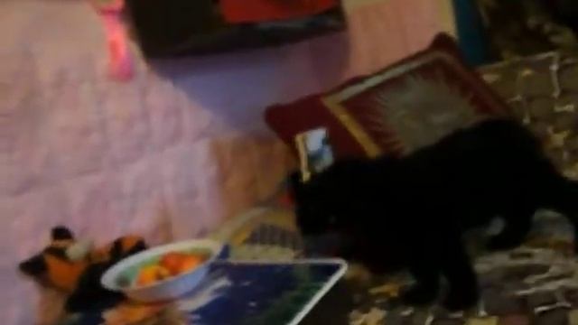 Роман-Кош Лада Гранта 2 мес купировка.AVI смотреть онлайн