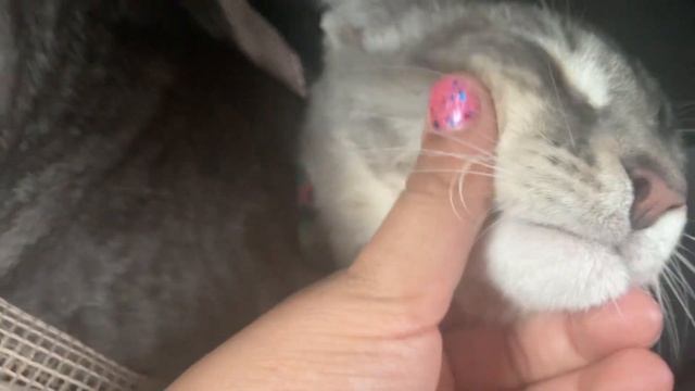 She almost slept but when my mom opened the window then lulu woke up смотреть онлайн