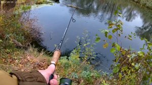 В доль течения реки Оскол ...