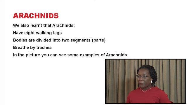 Science for Life: Arthropods смотреть онлайн