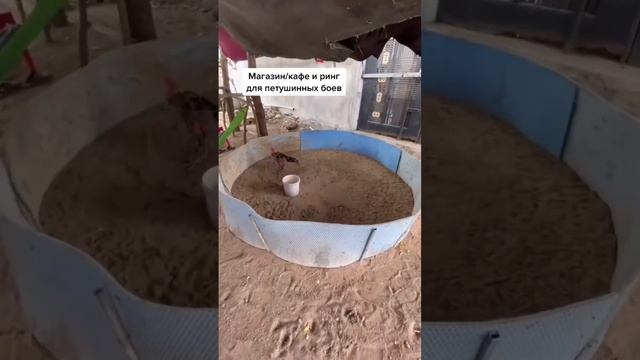 #путешествияпоазии #тревел_заметки