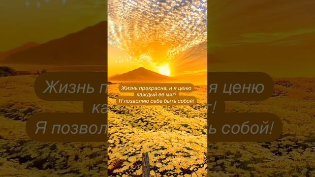 Жизнь прекрасна, и я ценю каждый ее миг! смотреть онлайн